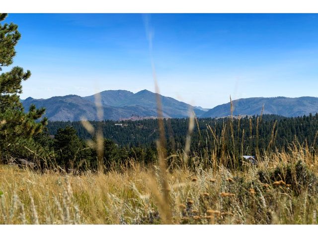127 Mount Sniktau Ct, Livermore, CO 80536
