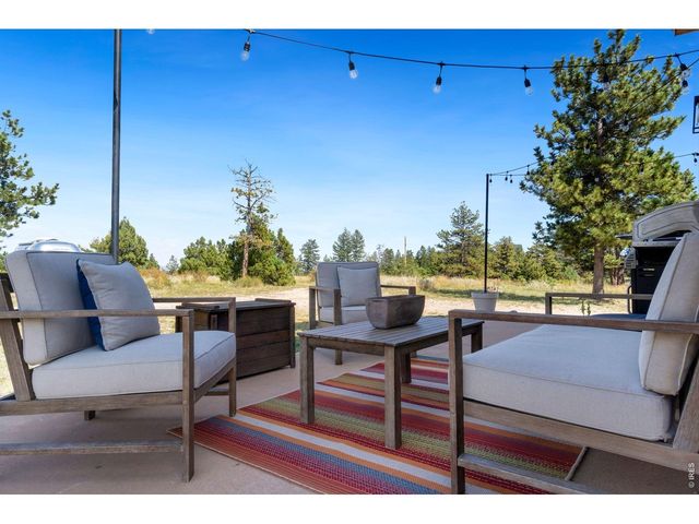 127 Mount Sniktau Ct, Livermore, CO 80536