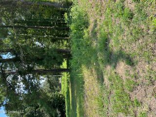 0 Faulkner Cove, Terry, MS 39170