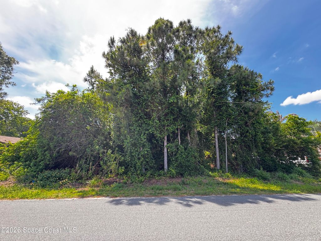 2172 Rockabye Avenue SE, Palm Bay, FL 32909