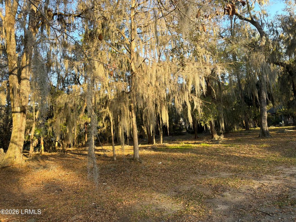 2 Woodland Ridge Circle, Beaufort, SC 29907
