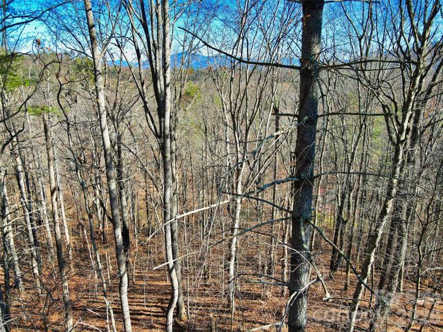 TBD Rocking Horse Trail, Burnsville, NC 28714