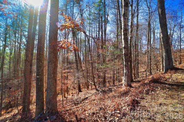 TBD Rocking Horse Trail, Burnsville, NC 28714