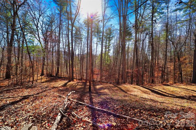 TBD Rocking Horse Trail, Burnsville, NC 28714