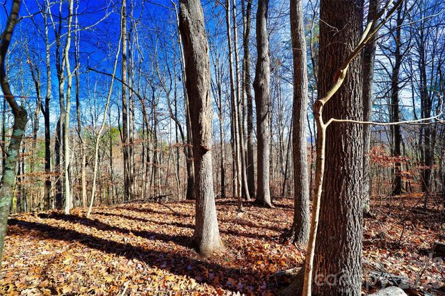 TBD Rocking Horse Trail, Burnsville, NC 28714