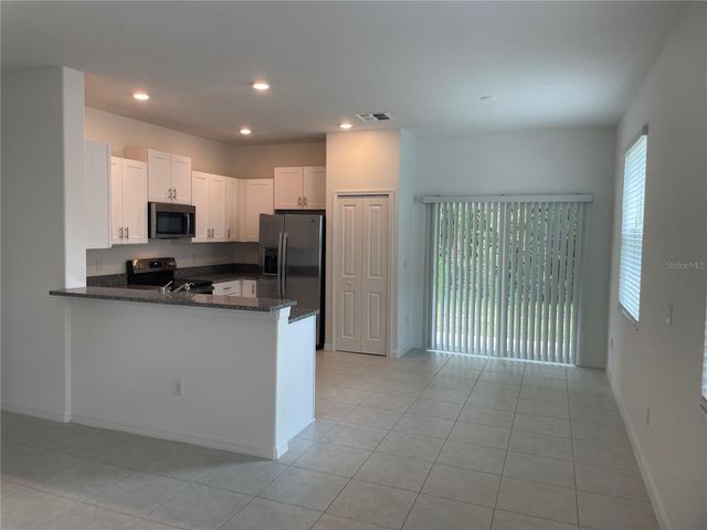 17565 NECTAR FLUME DRIVE, Land O Lakes, FL 34638