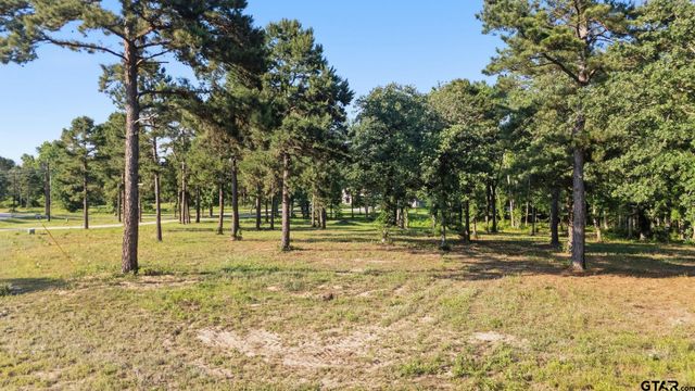 3132 Shadow Pine Dr, Larue, TX 75770