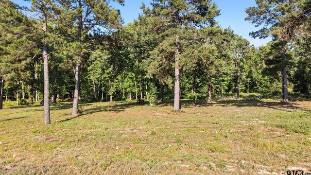 3132 Shadow Pine Dr, Larue, TX 75770