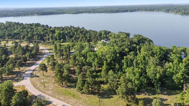 3132 Shadow Pine Dr, Larue, TX 75770