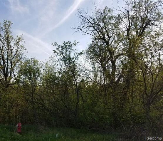 0000 S Lapeer Road, Lake Orion, MI 48362