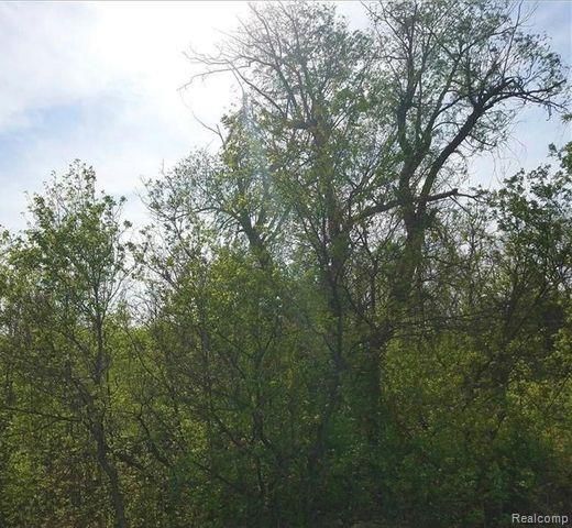 0000 S Lapeer Road, Lake Orion, MI 48362