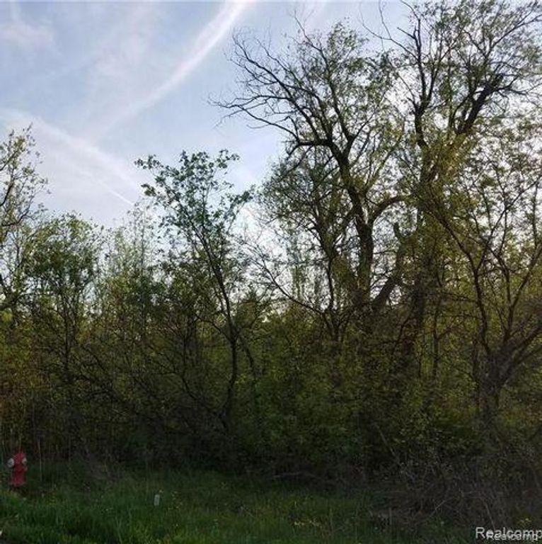 0000 S Lapeer Road, Lake Orion, MI 48362