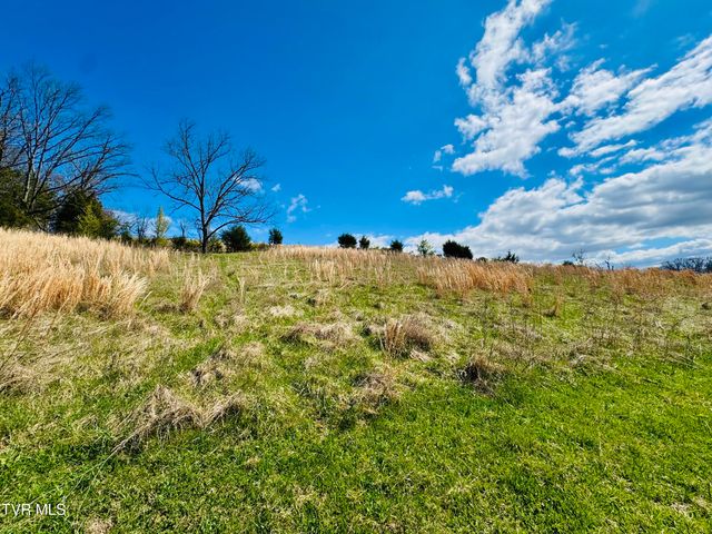 639 Saylor Hill Road, Limestone, TN 37681