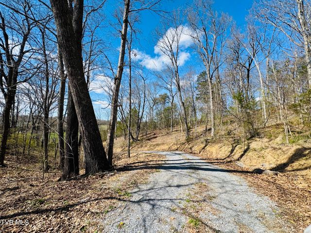 639 Saylor Hill Road, Limestone, TN 37681