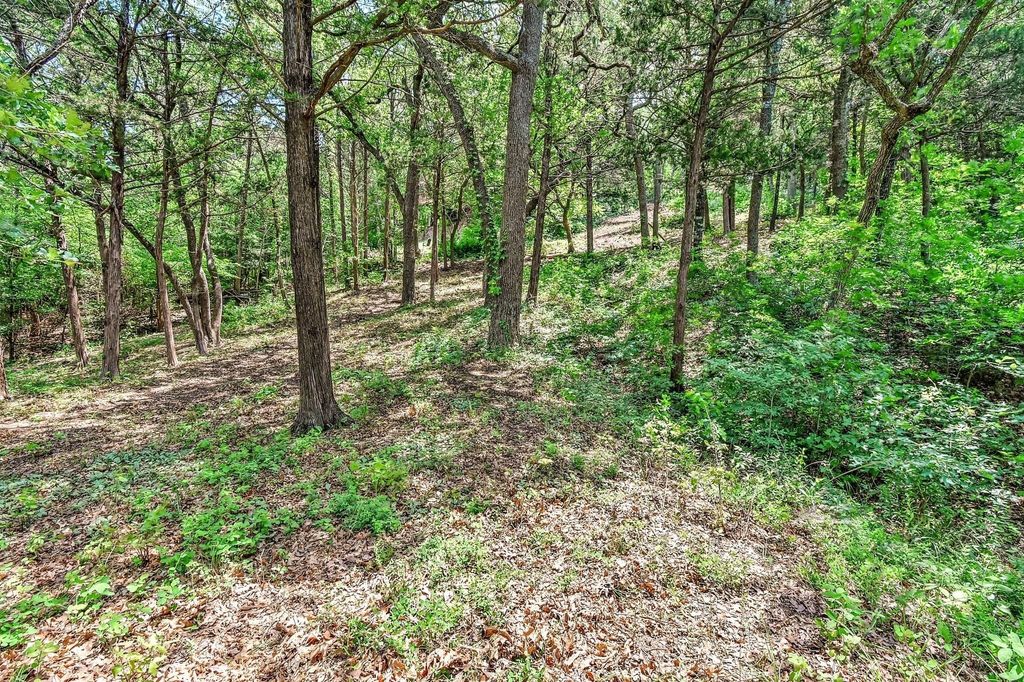 65 Lakewood Lane, Pottsboro, TX 75076