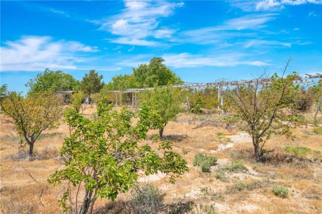 4150 W Avenue D8, Lancaster, CA 93536