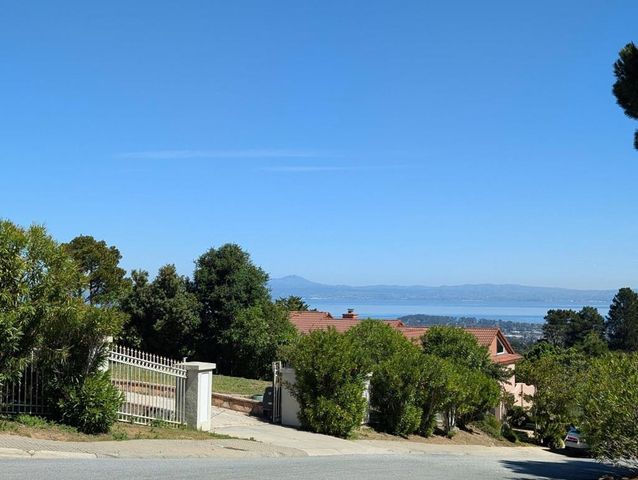 20 Silk Tree Place, Hillsborough, CA 94010