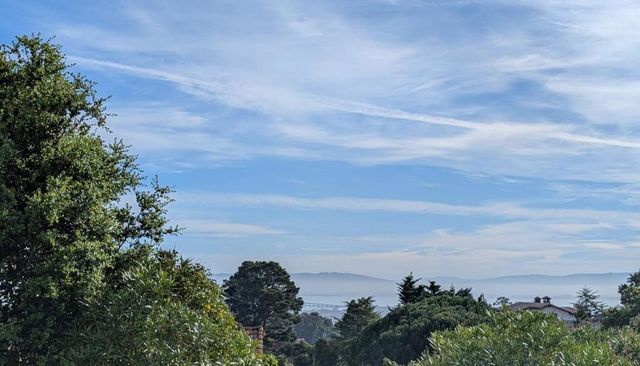 20 Silk Tree Place, Hillsborough, CA 94010