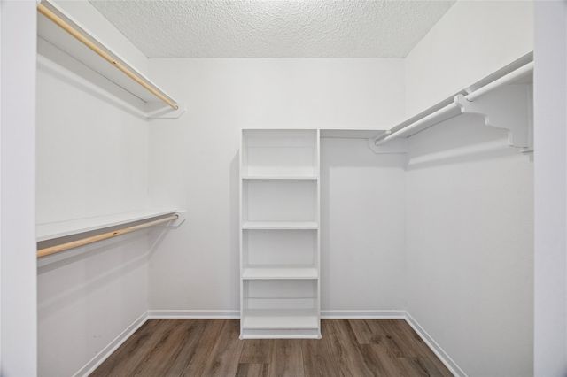 13838 Beech Hollow Lane, Houston, TX 77082