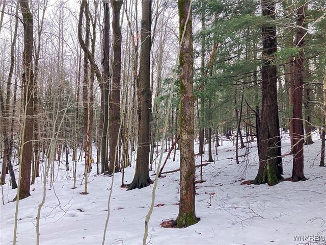 8978 Jennings Road, Eden, NY 14057