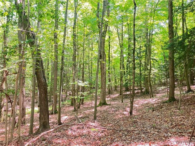 8978 Jennings Road, Eden, NY 14057