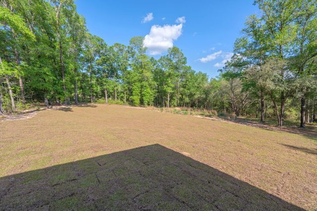 1909 Hidden Springs Drive, Baker, FL 32531