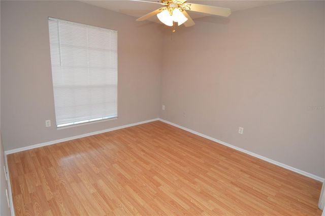 8653 FANCY FINCH DRIVE 101, Tampa, FL 33614