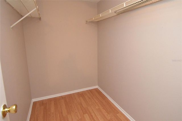 8653 FANCY FINCH DRIVE 101, Tampa, FL 33614