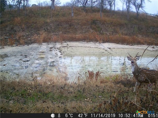 440 Chimney Valley Road, Blanco, TX 78606