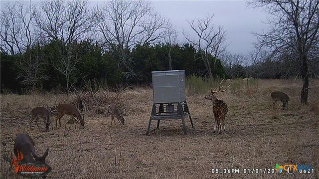 440 Chimney Valley Road, Blanco, TX 78606