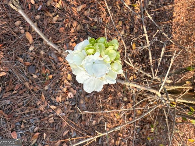 5686 Golden Isle W, Baxley, GA 31513