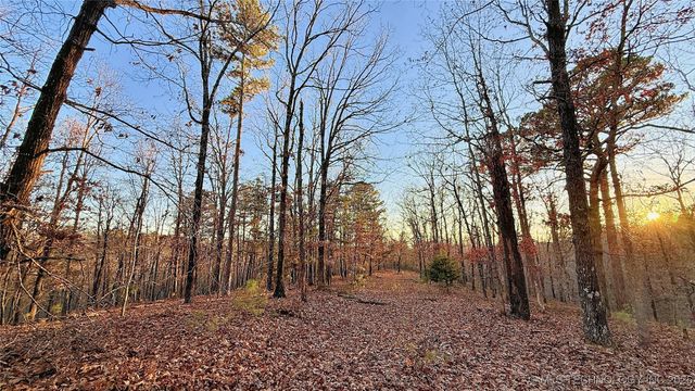 246 Red Fox Trail, Kansas, OK 74347