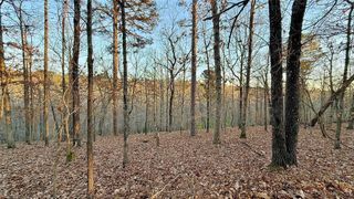 246 Red Fox Trail, Kansas, OK 74347