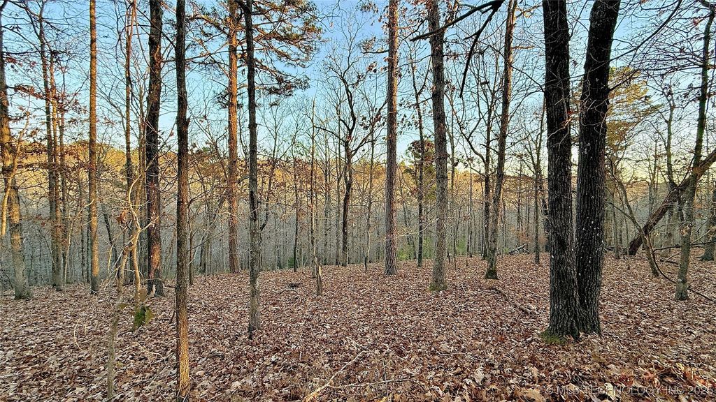 246 Red Fox Trail, Kansas, OK 74347