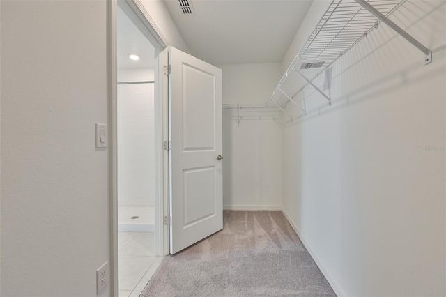 9913 JACKFRUIT COURT, Riverview, FL 33578