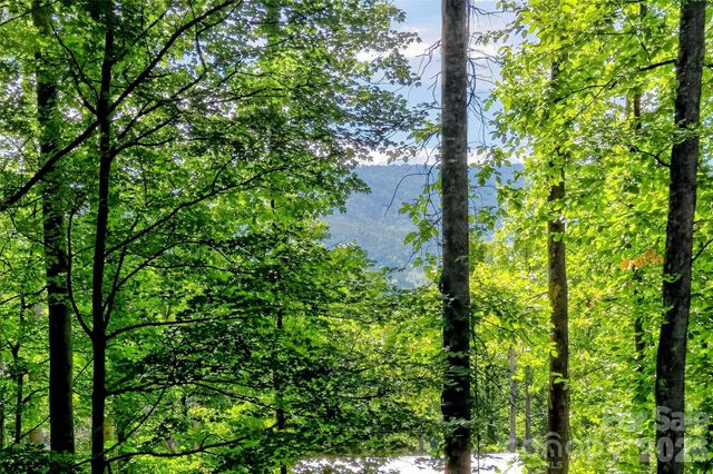 43 Clinchfield Gap Road, Marion, NC 28752
