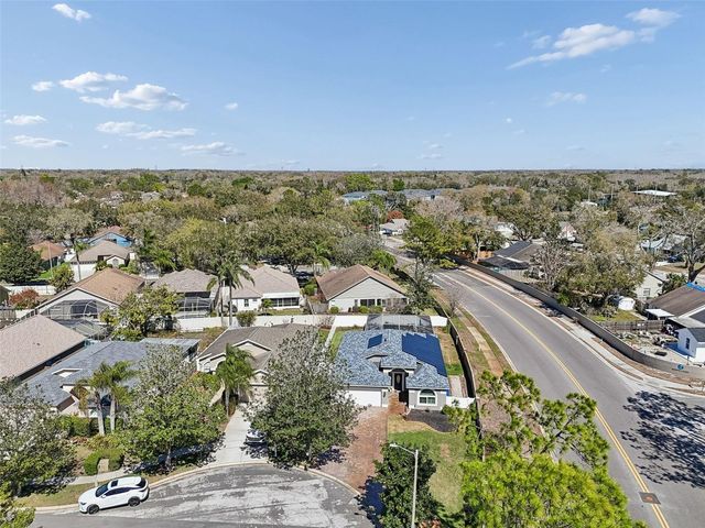 3301 BLACK GUM COURT, Tampa, FL 33618