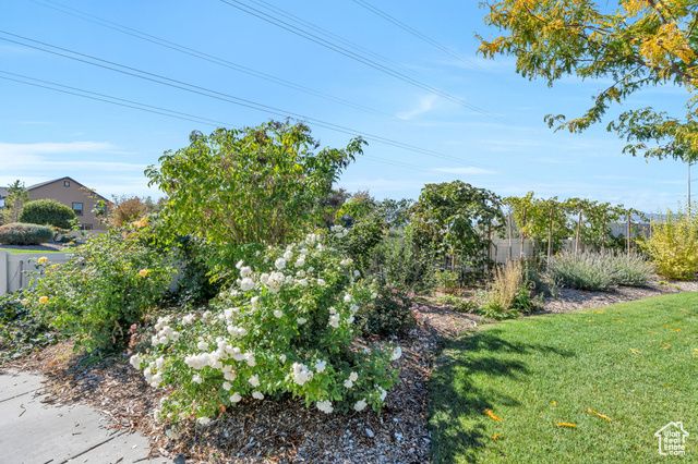 1752 S WEEPING WILLOW WAY, Lehi, UT 84043