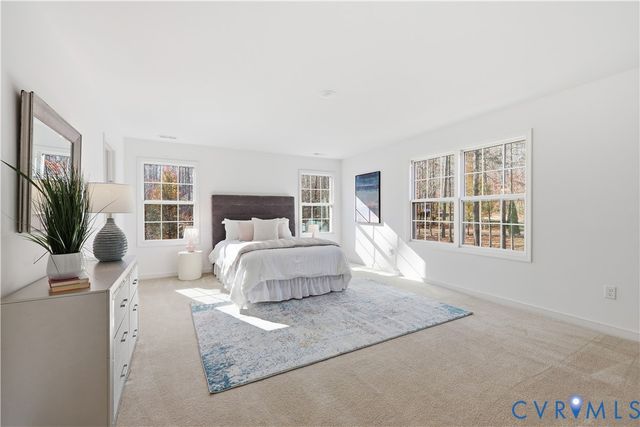 17425 Simmons Branch Ter, Chesterfield, VA 23838