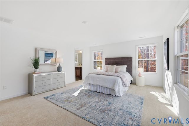 17425 Simmons Branch Ter, Chesterfield, VA 23838