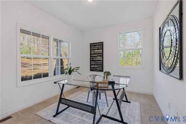 17425 Simmons Branch Ter, Chesterfield, VA 23838