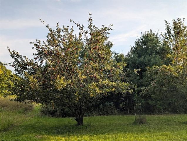 23443 75th Street, New Auburn, WI 54757