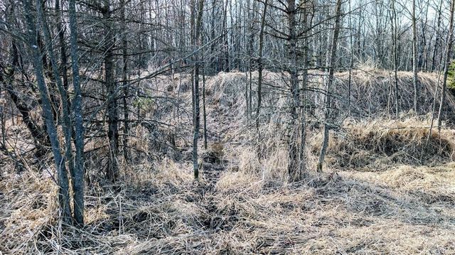 23443 75th Street, New Auburn, WI 54757