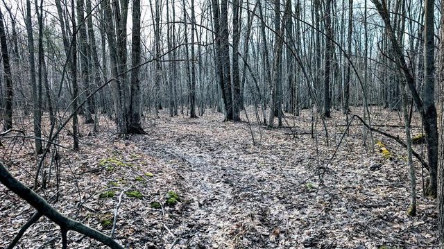 23443 75th Street, New Auburn, WI 54757