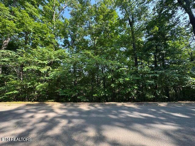 Hawks Nest Way, Sevierville, TN 37862