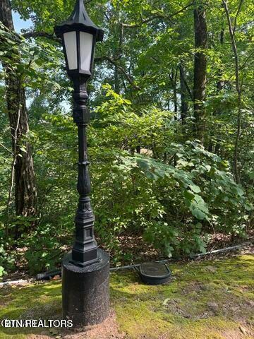 Hawks Nest Way, Sevierville, TN 37862