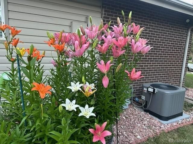 3225 S Garrison St 51, Lakewood, CO 80227