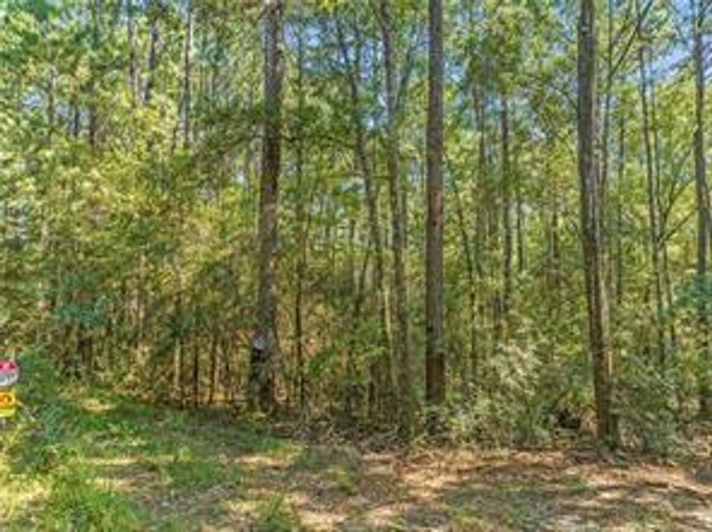 6917 Old Citronelle Highway, Eight Mile, AL 36613 — photo 3