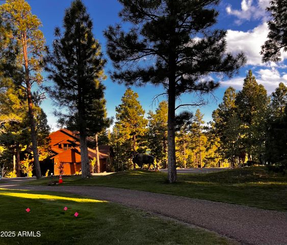 3361 W HANSEN --, Show Low, AZ 85901