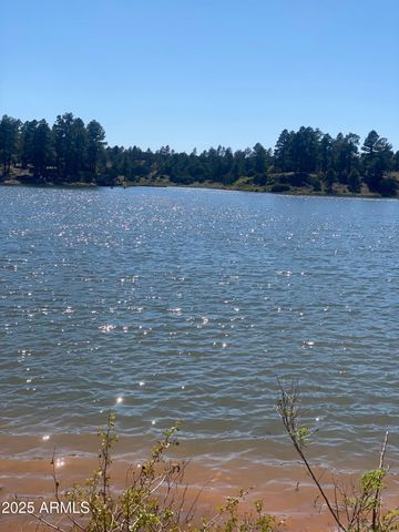 3361 W HANSEN --, Show Low, AZ 85901